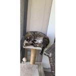~ Camilla and Jackson ~