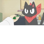 Dank memer club no bully on me.