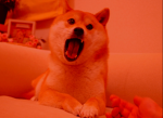 Elite Infantry of Doge