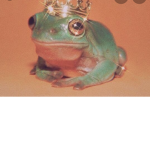 Frog group .