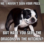 if you like dogs or puppies :< :O