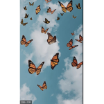 The butterfly group:)