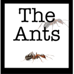The Fire Ants (or regular ants)