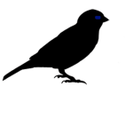 Sparrow Defense Corporation Cadet Academy