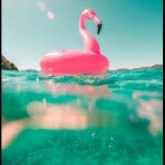 (admin specs!) [Modded] Project JoJo