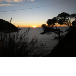 Cristina_club