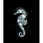 shiny seahorse