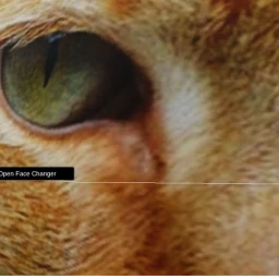 Survival The Cat the killer icon
