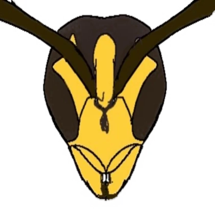 Wasp NoFilter