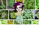 •Minty's Fan Group•