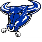 South Carolina Bulls