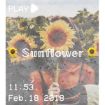 ~ Sunflower ~