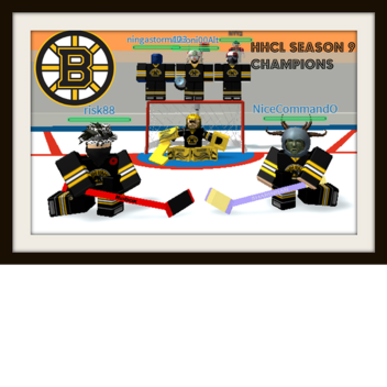 BOSTON BRUINS