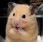 Ella_Gruppe