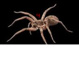 Arachnophobia. (beta!)