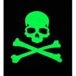 green skull gamer fan group