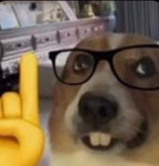 Simmy Games