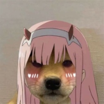 idkuwusenpai