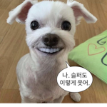 드루오셔