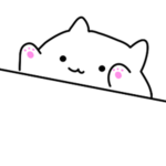 Bongo cat kids