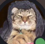 Plushjesh