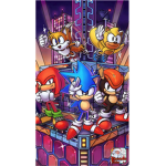 Sonic tails knuckles and many more