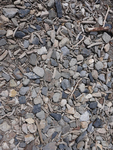 rocks and sticks was taken