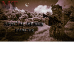 MT | Special Armed Forces