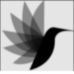 Saganqq Group