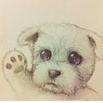 Doggy group :) :)