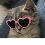 «cat»