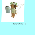 | ~ Hailey's fairies ~ |
