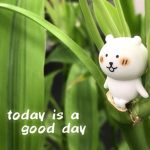 sweetmornings