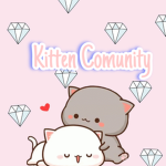 Cool kitten community