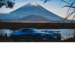 THE LANDCRUISER GROUP