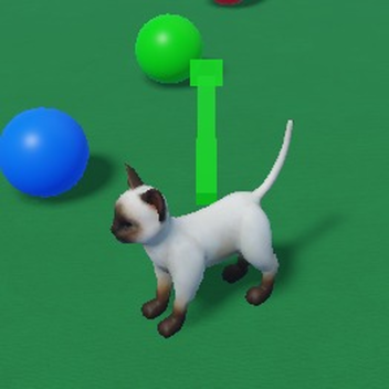 Paws และกระเป๋า