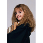 Harry Potter Fan Group :))