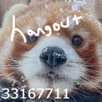 'hangout