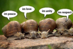 Ashley’s group!(let’s be besties!