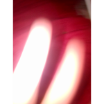 Preston xd