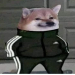 G-L4B