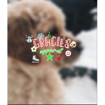 1tsgracie
