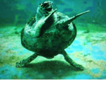 TheDabbingTurtles