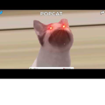 The Popcat sisters