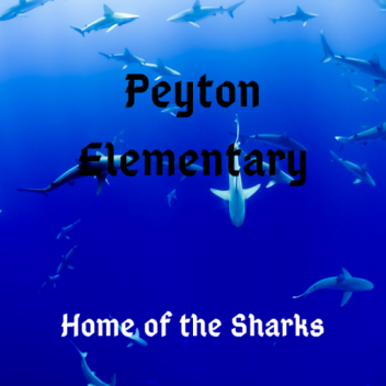 Peyton Elementary School