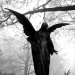 phaunt