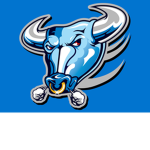 Dallas Bulls