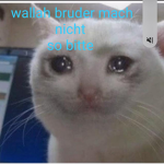 no name nice grupp