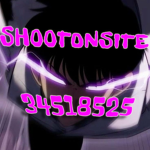 SH00TONSITE