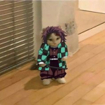 ROBUX0/1/2